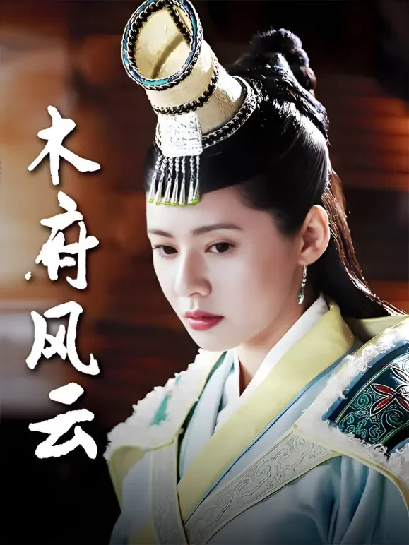 木府风云电视剧海报