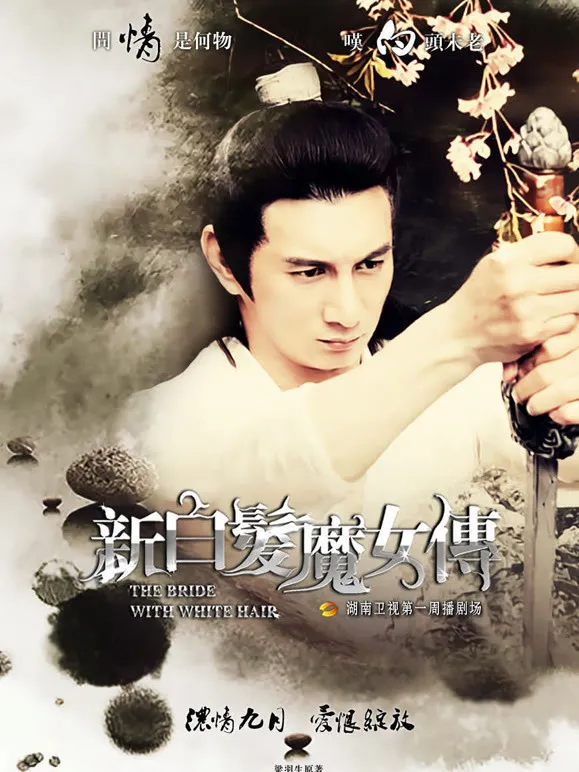 新白发魔女传DVD版电视剧海报