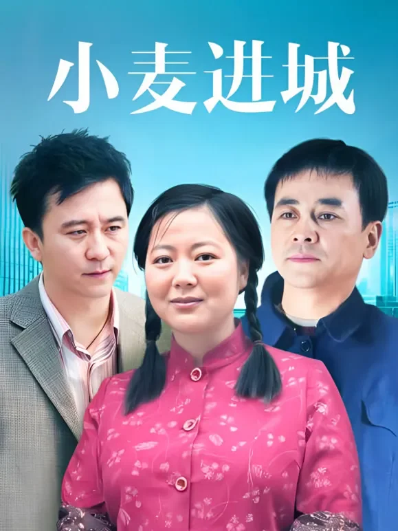 小麦进城电视剧海报