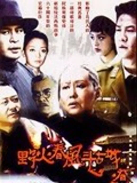 野火春风斗古城连奕名版电视剧海报