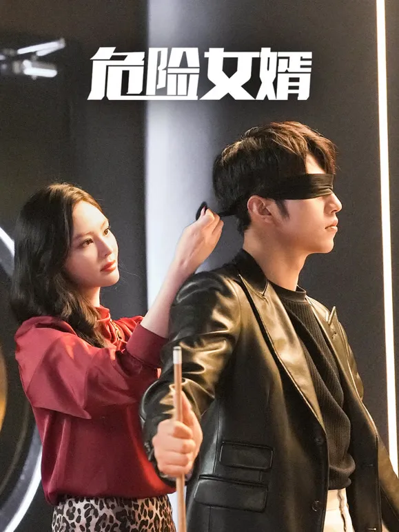 危险女婿电视剧海报