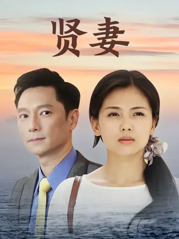 贤妻电视剧海报