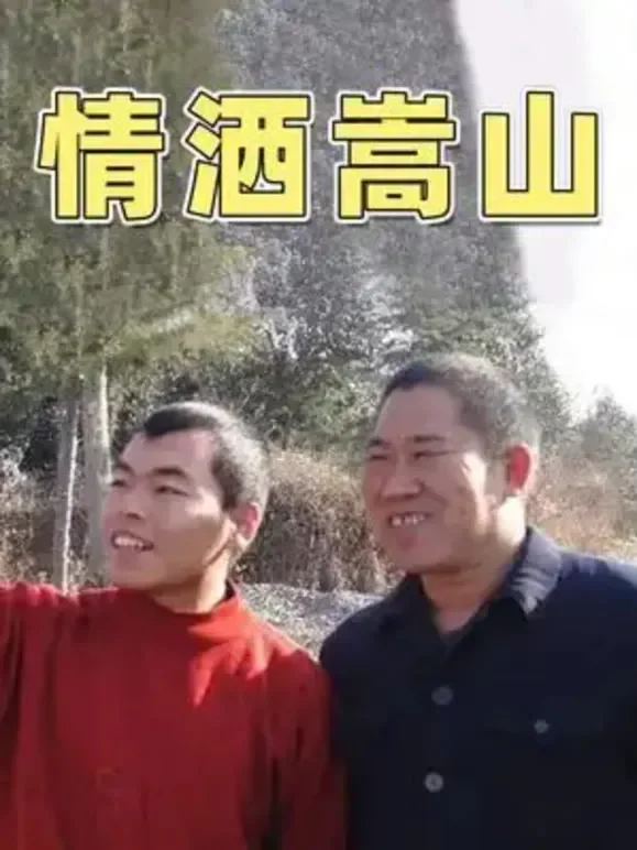 情洒嵩山电视剧海报