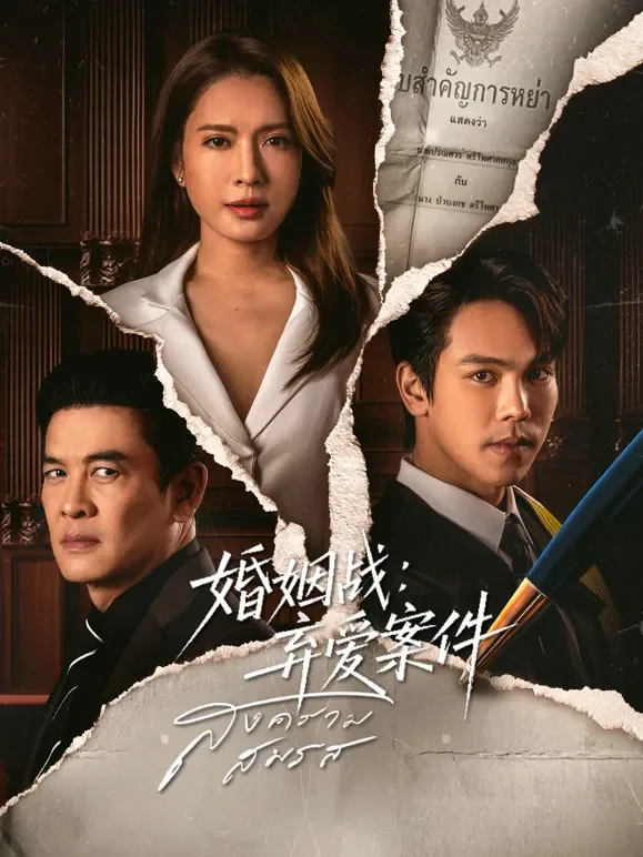 婚姻战：弃爱案件电视剧海报