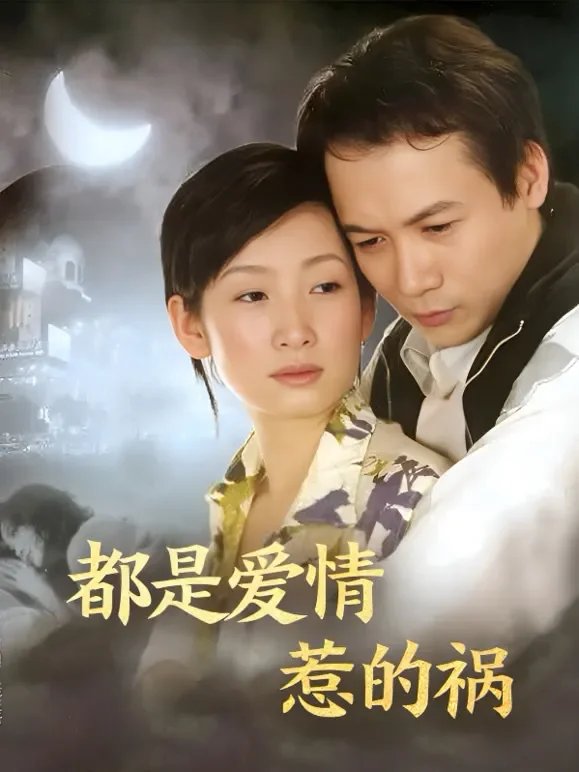 都是爱情惹的祸电视剧海报
