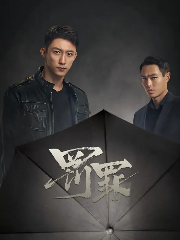 罚罪电视剧海报
