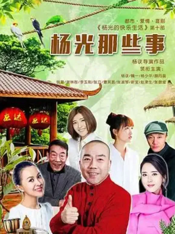 杨光那些事电视剧海报