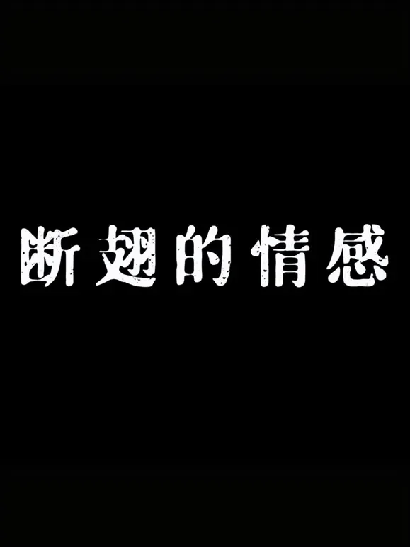断翅的情感电视剧海报