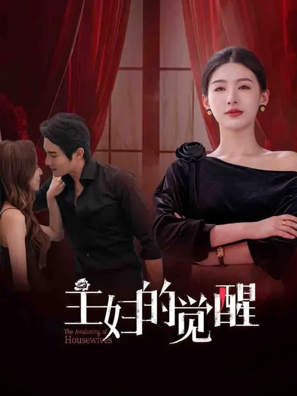 主妇的觉醒电视剧海报