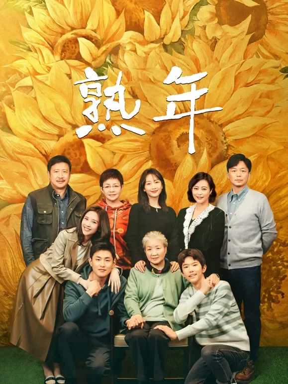 熟年电视剧海报