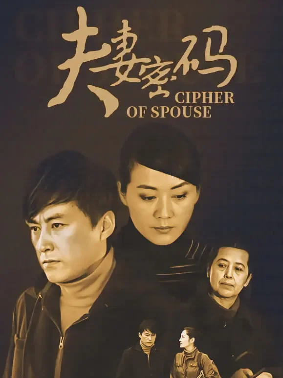 夫妻密码电视剧海报