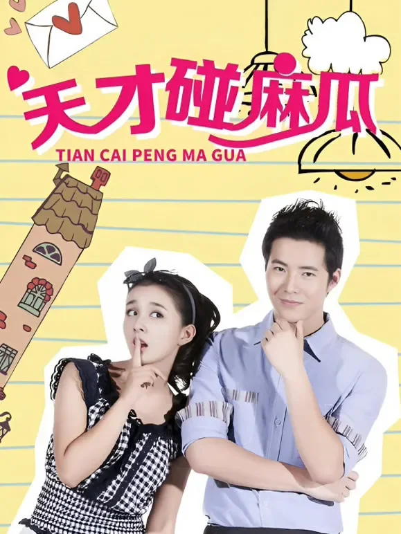 天才碰麻瓜电视剧海报