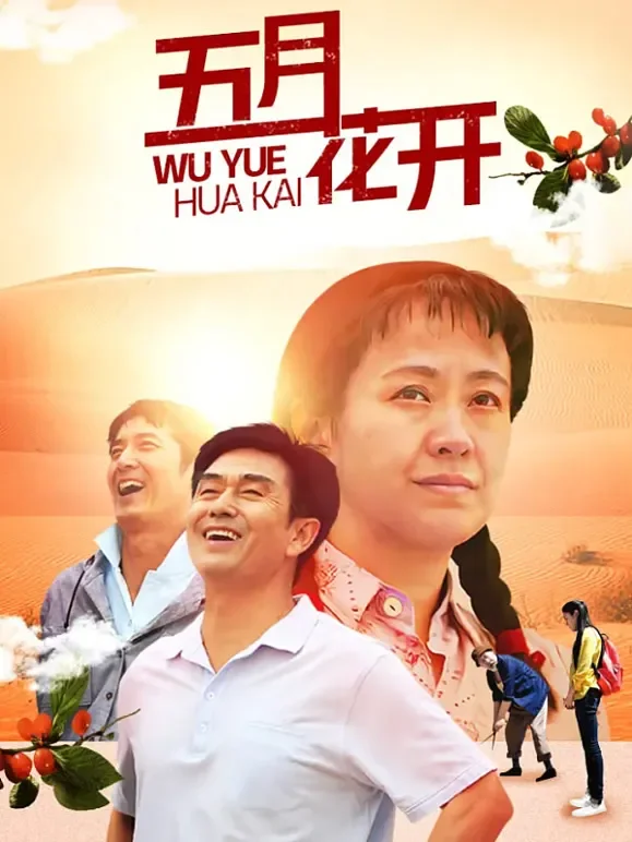 五月花开电视剧海报
