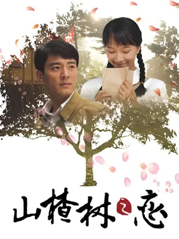 山楂树之恋电视剧海报
