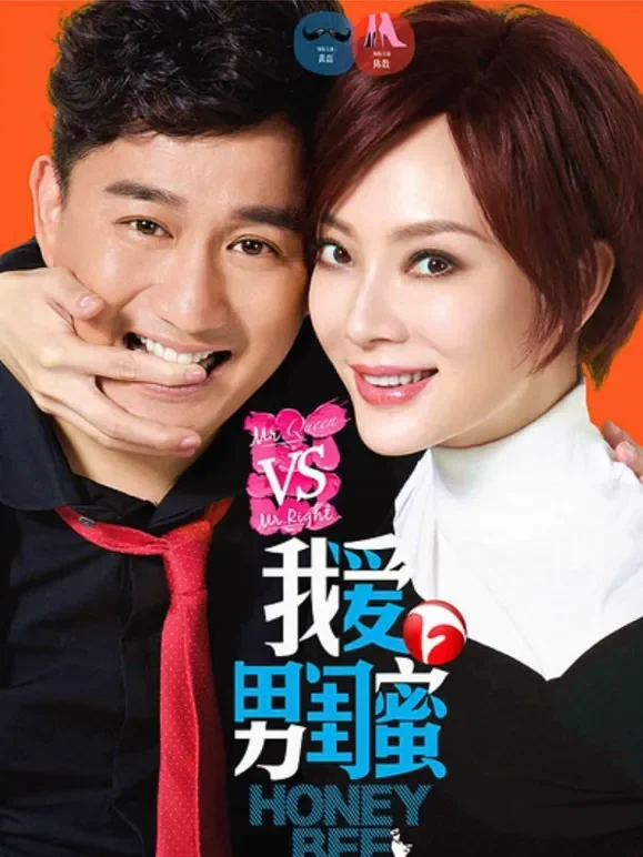 我爱男闺蜜电视剧海报
