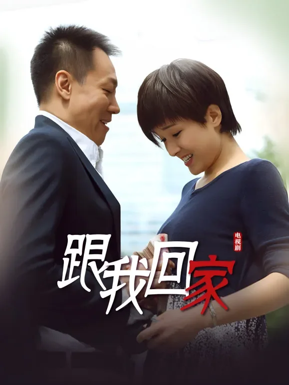 跟我回家电视剧海报