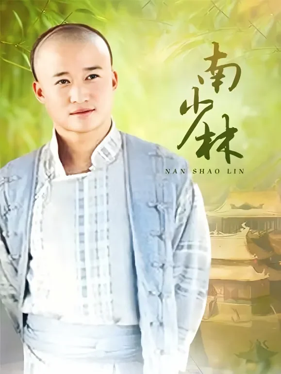 南少林电视剧海报