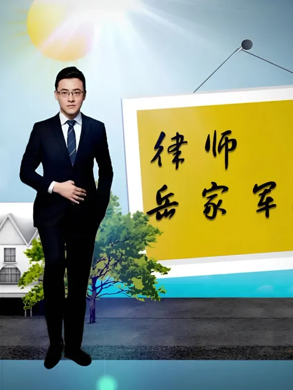 律师岳家军电视剧海报