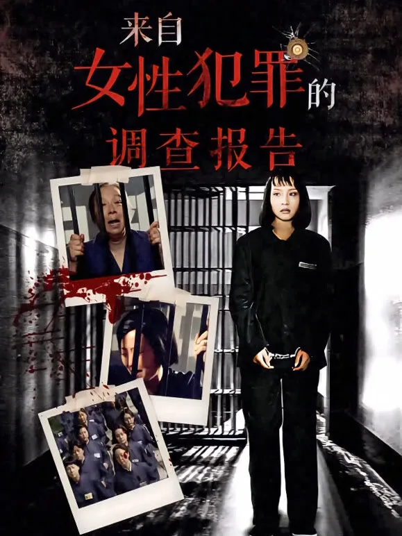 来自女性犯罪的调查报告电视剧海报