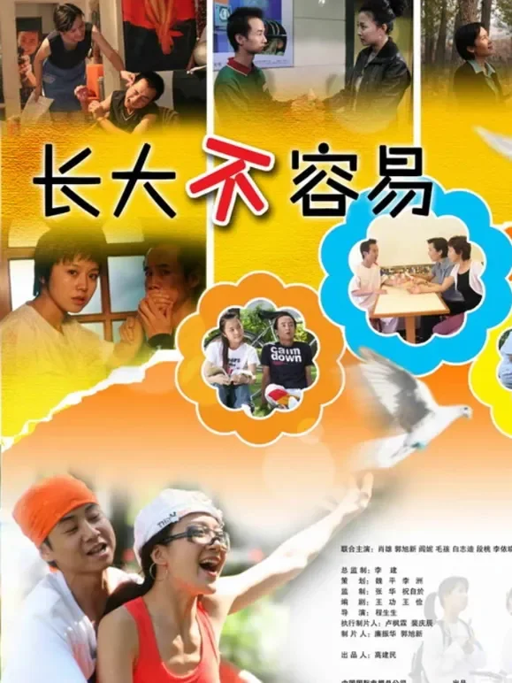 长大不容易电视剧海报
