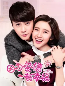 因为爱情有幸福TV版电视剧海报