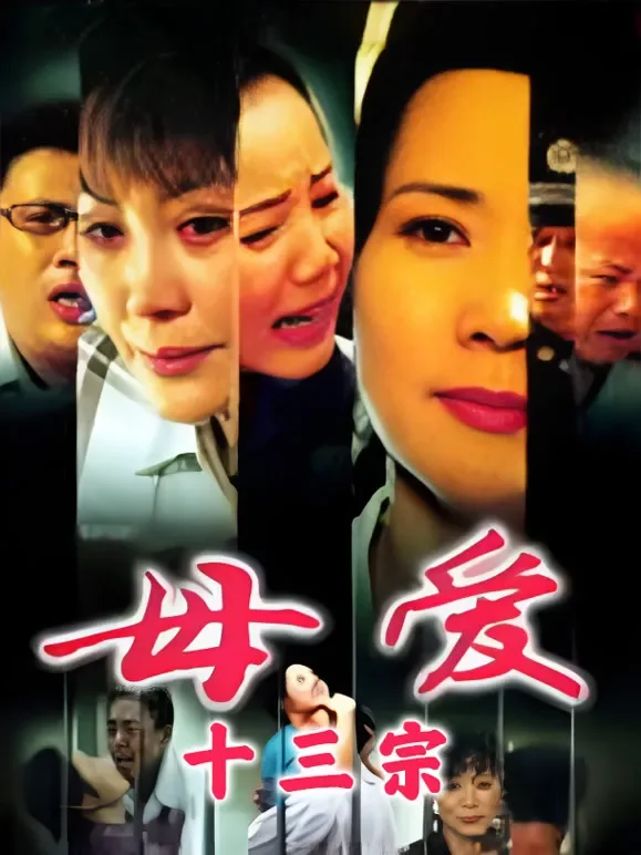 母爱十三宗电视剧海报