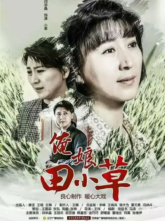 俺娘田小草电视剧海报