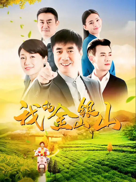 我的金山银山电视剧海报