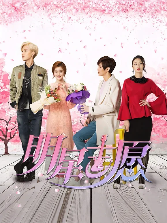 明星志愿电视剧海报