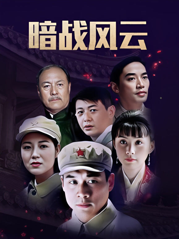 暗战风云 丁海峰版