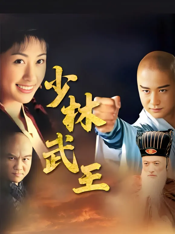 少林武王电视剧海报