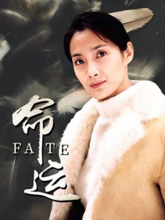 命运（2002）