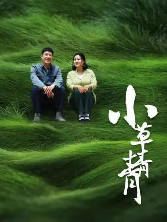 小草青青电视剧海报