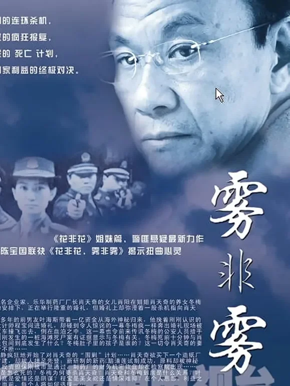 雾非雾电视剧海报