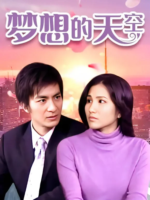 梦想的天空电视剧海报