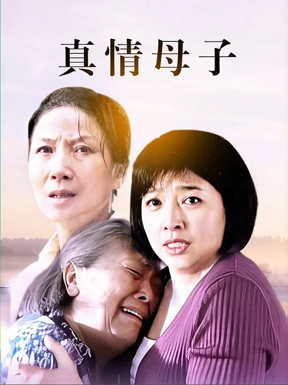 真情母子电视剧海报