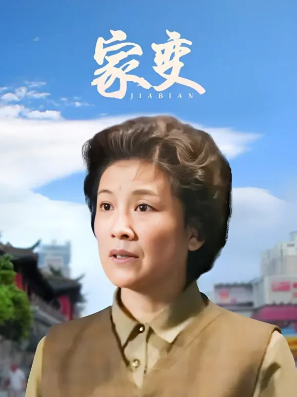 家变电视剧海报