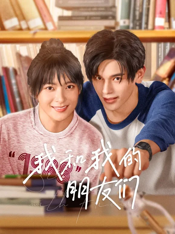 我和我的朋友们电视剧海报