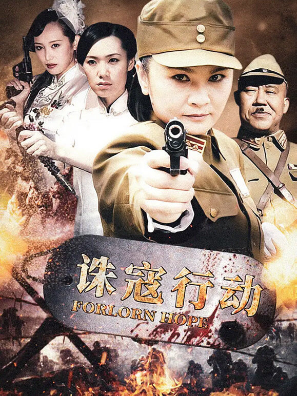 诛寇行动