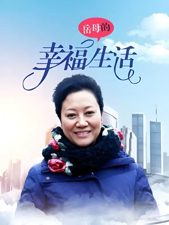 岳母的幸福生活电视剧海报