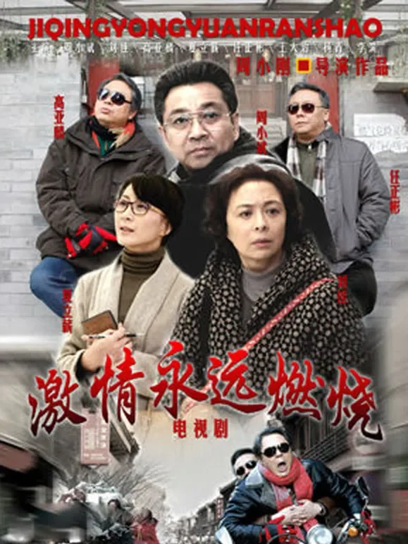 激情永远燃烧电视剧海报