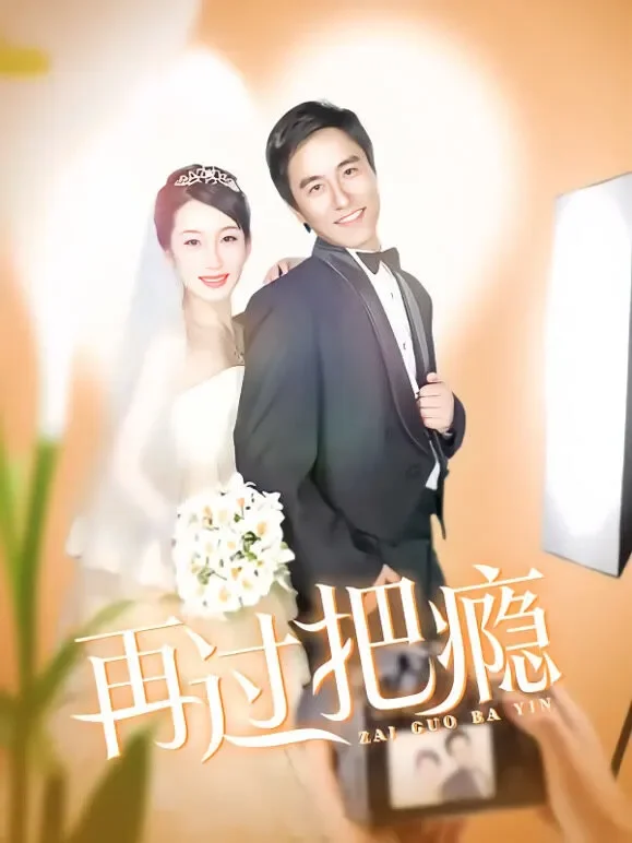 再过把瘾电视剧海报