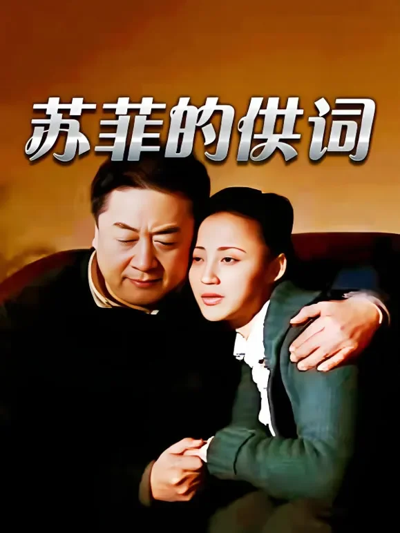 苏菲的供词电视剧海报