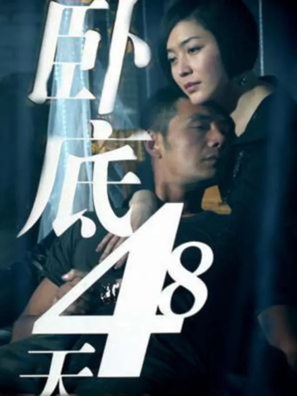 卧底48天电视剧海报