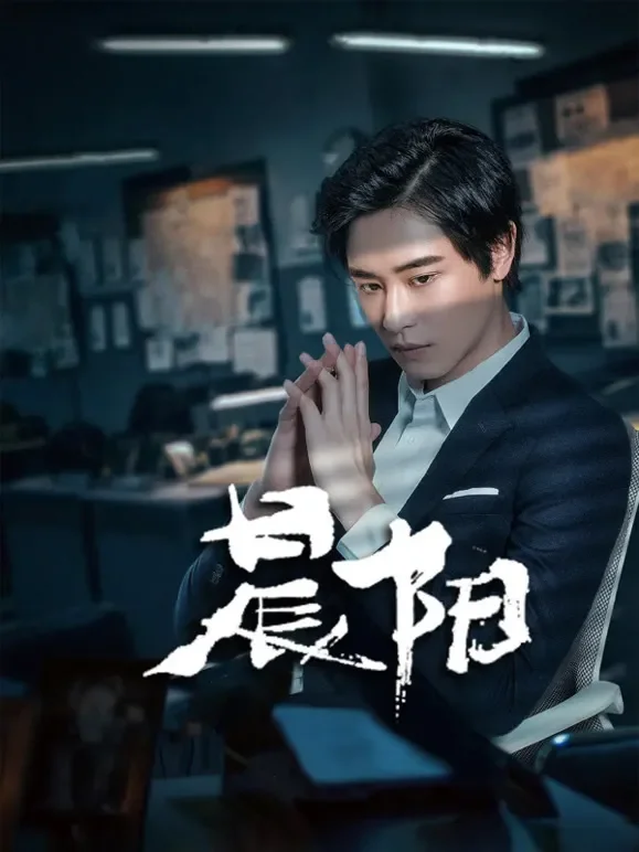 晨阳电视剧海报
