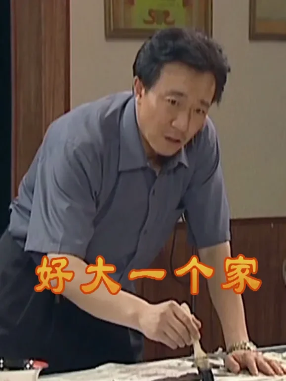 好大一个家宋波版电视剧海报