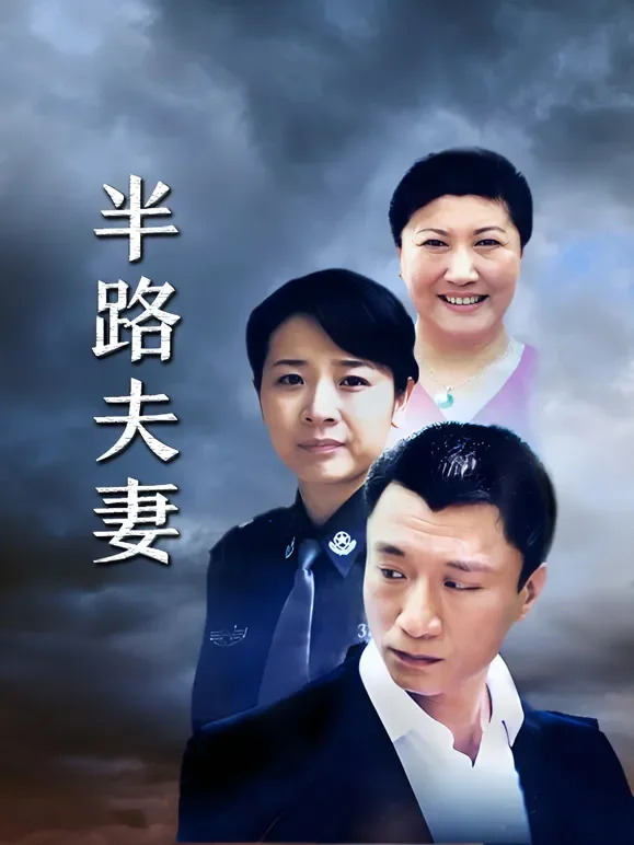 半路夫妻电视剧海报