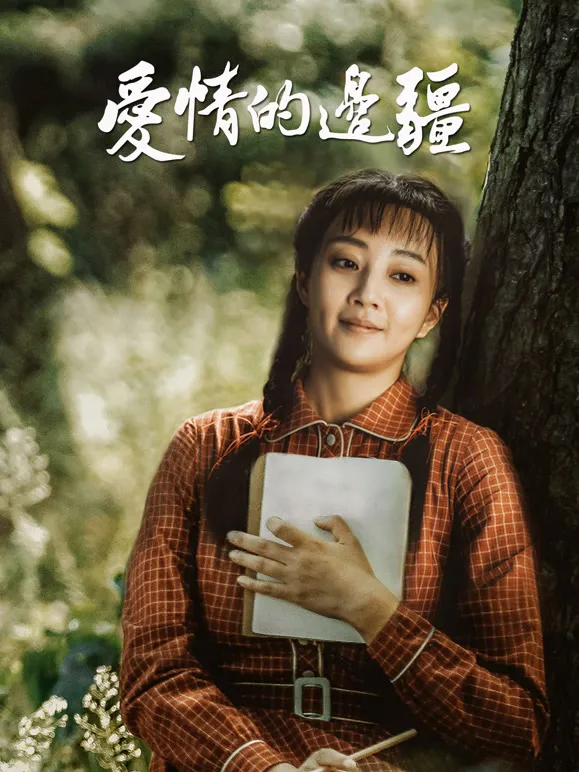 爱情的边疆电视剧海报