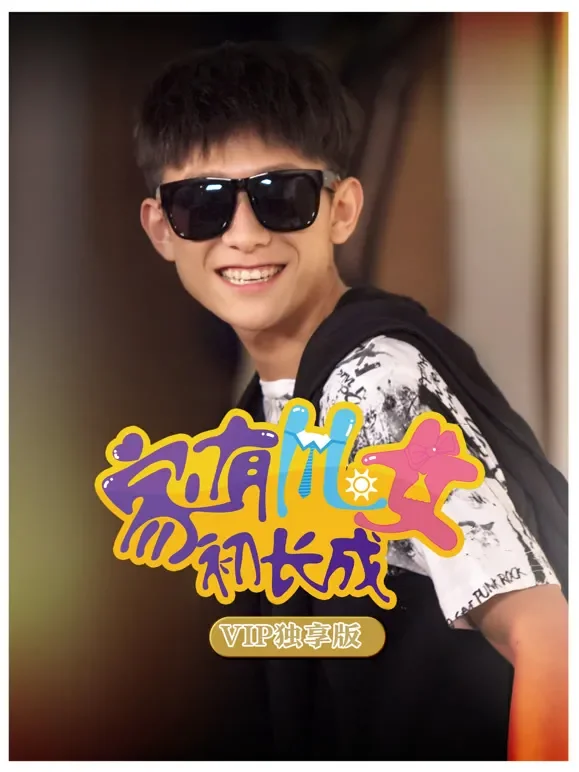 家有儿女初长成VIP独享版电视剧海报