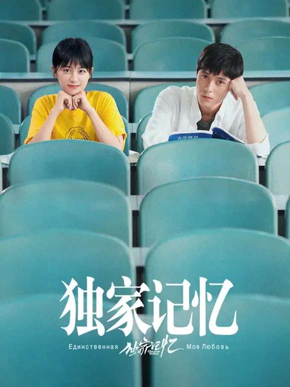 独家记忆电视剧海报